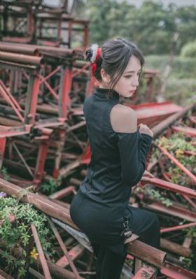 国产付费游戏排行榜_未删减完整版